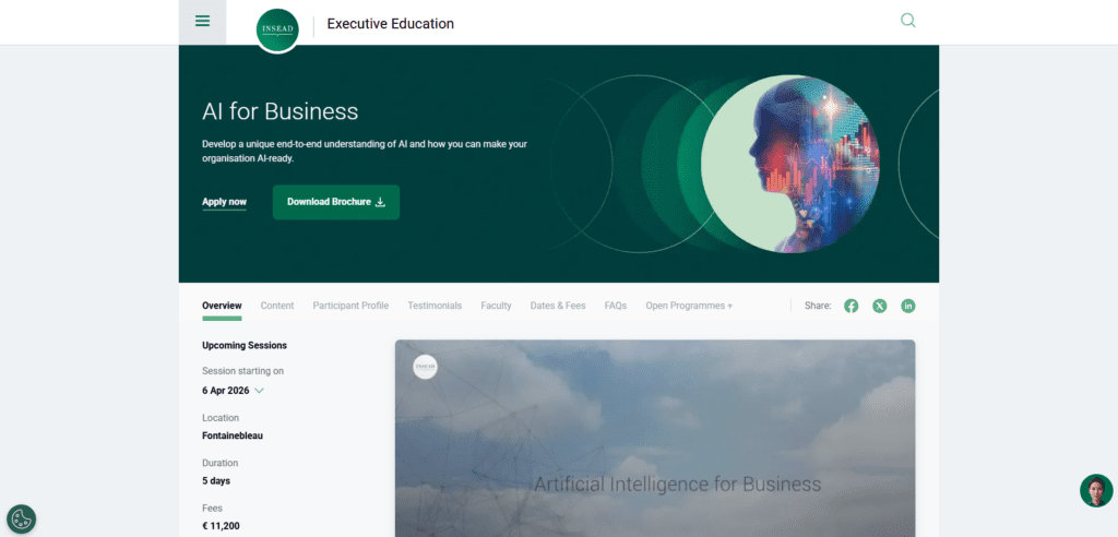 INSEAD Executive Education: AI for Business