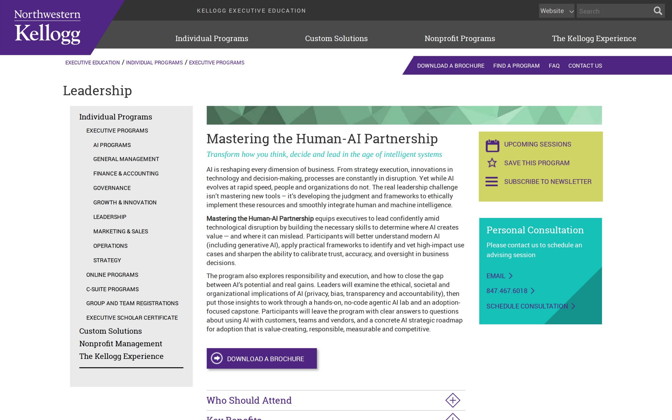 Mastering the Human-AI Partnership