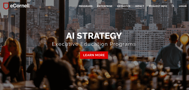 AI Strategy – eCornell Executive Education